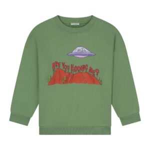 Are You Kidding Me Sweater - Daily Brat