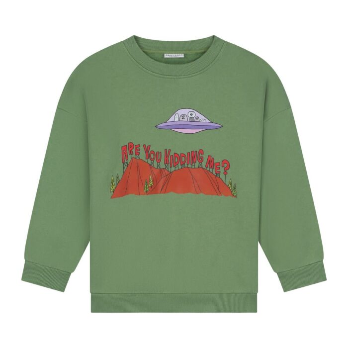 Are You Kidding Me Sweater - Daily Brat Are You Kidding Me Sweater - Daily Brat