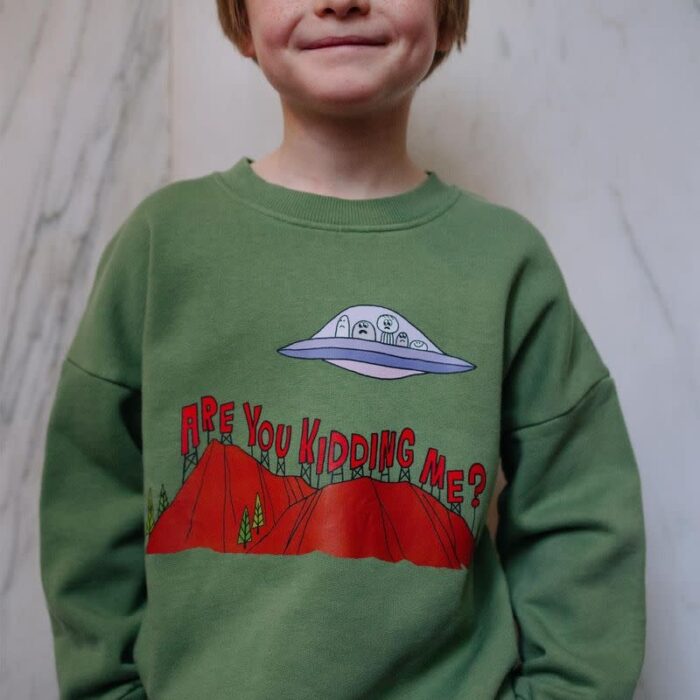 Are You Kidding Me Sweater - Daily Brat Are You Kidding Me Sweater - Daily Brat