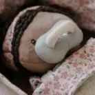 Babypop Evi met mandje en toebehoren - Little Dutch