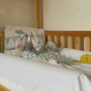 Bedguard - Owego