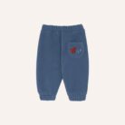 Blue Polar Baby Jogging - The Campamento