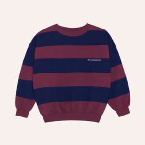 Blue Stripes Sweatshirt - Blue - The Campamento