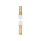 Chest Strap Stripes - Reed Green - Sticky Lemon