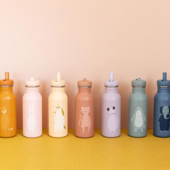 Drinkfles 350ml - Mr Dino - Trixie