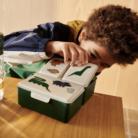 Driss Lunchbox - Dinosaurs / Mist - Liewood