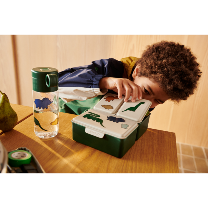 Driss Lunchbox - Dinosaurs / Mist - Liewood