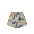 Duke Printed Board Shorts - Dinosaurs / Mist - Liewood