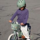 Fietsmandje Pins - Dinosaurs - Banwood