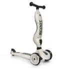 Highwaykick 1 - Ash - Scoot & Ride