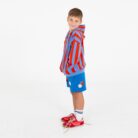 Jacket Sweatshirt - Lotie Embroidery Red Stripes +Baja Blue - Lotiekids