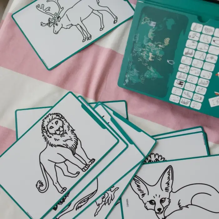 Kidydraw Mini Tekentablet - Dieren over de hele wereld