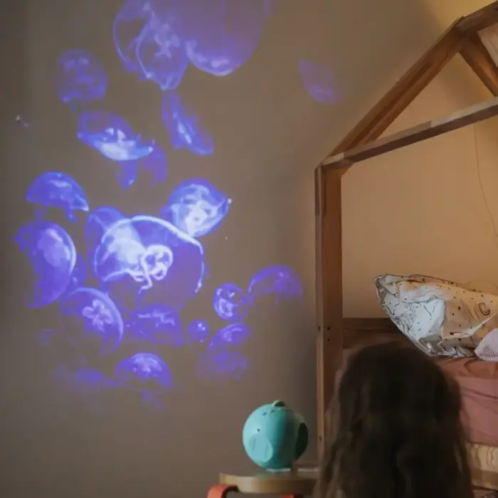 Kidystar - Beeldprojector Oceanen en zeeën - Kidywolf