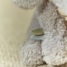 Knuffel Olifant - Safari Friends - Little Dutch