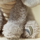 Knuffel Olifant - Safari Friends - Little Dutch