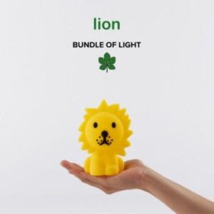 Leeuw bundle of light - Mr Maria
