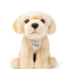 Loulou the Labrador - B.T. Chaps