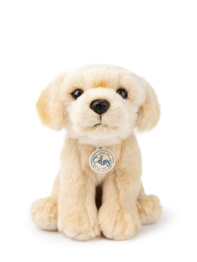 Loulou the Labrador - B.T. Chaps