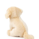 Loulou the Labrador - B.T. Chaps