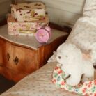 Madeleine Puppy - Fiola - Konges Slojd