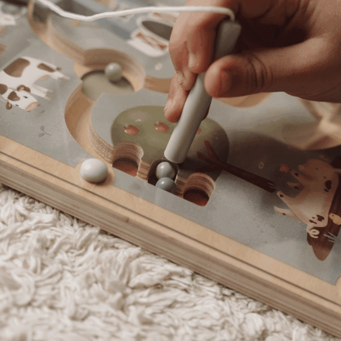 Magnetisch Doolhof - Little Farm - Little Dutch