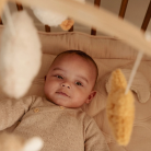 Mobieltje & mobieltjeshouder - Beige Newborn Natural - Little Dutch