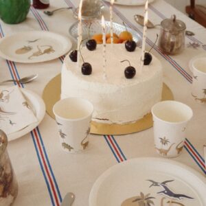 Party - Dino - Konges Slojd
