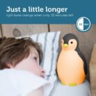 Pinguin Slaaptrainer - Zazu
