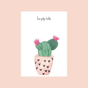 Postkaart - Een potje liefde - Studio Bertha