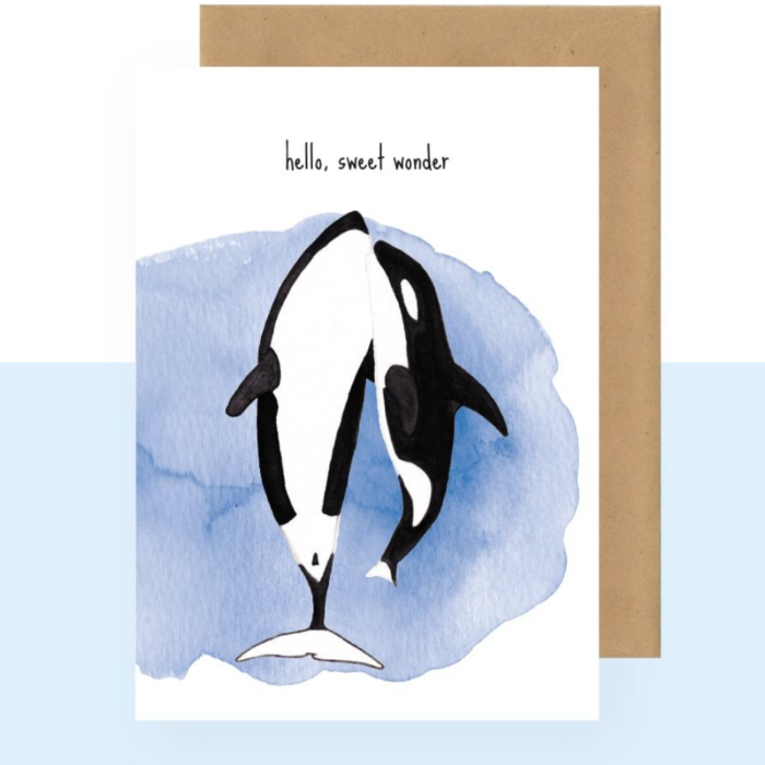 Postkaart - Hello sweet wonder - Studio Bertha