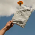 Pouch - Daisies - Rive Droite