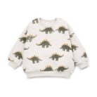 Printed Fleece Sweater - Dino - Play Up