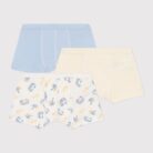 Set 3 boxers - Blue Van - Petit Bateau