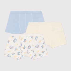 Set 3 boxers - Blue Van - Petit Bateau