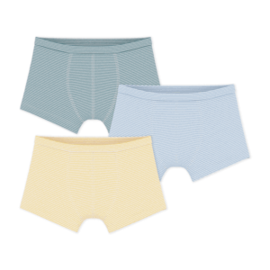 Set van 3 katoenen boxershorts met streepjes - Multicouleur - Petit Bateau