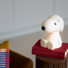 Snoopy bundle of light - Mr Maria