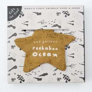 Soft Book Peekaboo - Ocean - Wee Gallery