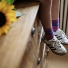 Sport Socks - Rose/Dazling Blue - Petit Blush