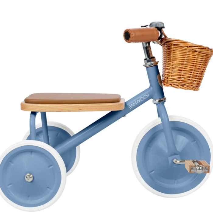 Trike - Blue - Banwood
