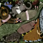 Vol vol dieren - Alexandra Garibal